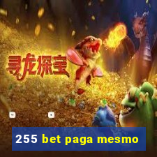 255 bet paga mesmo